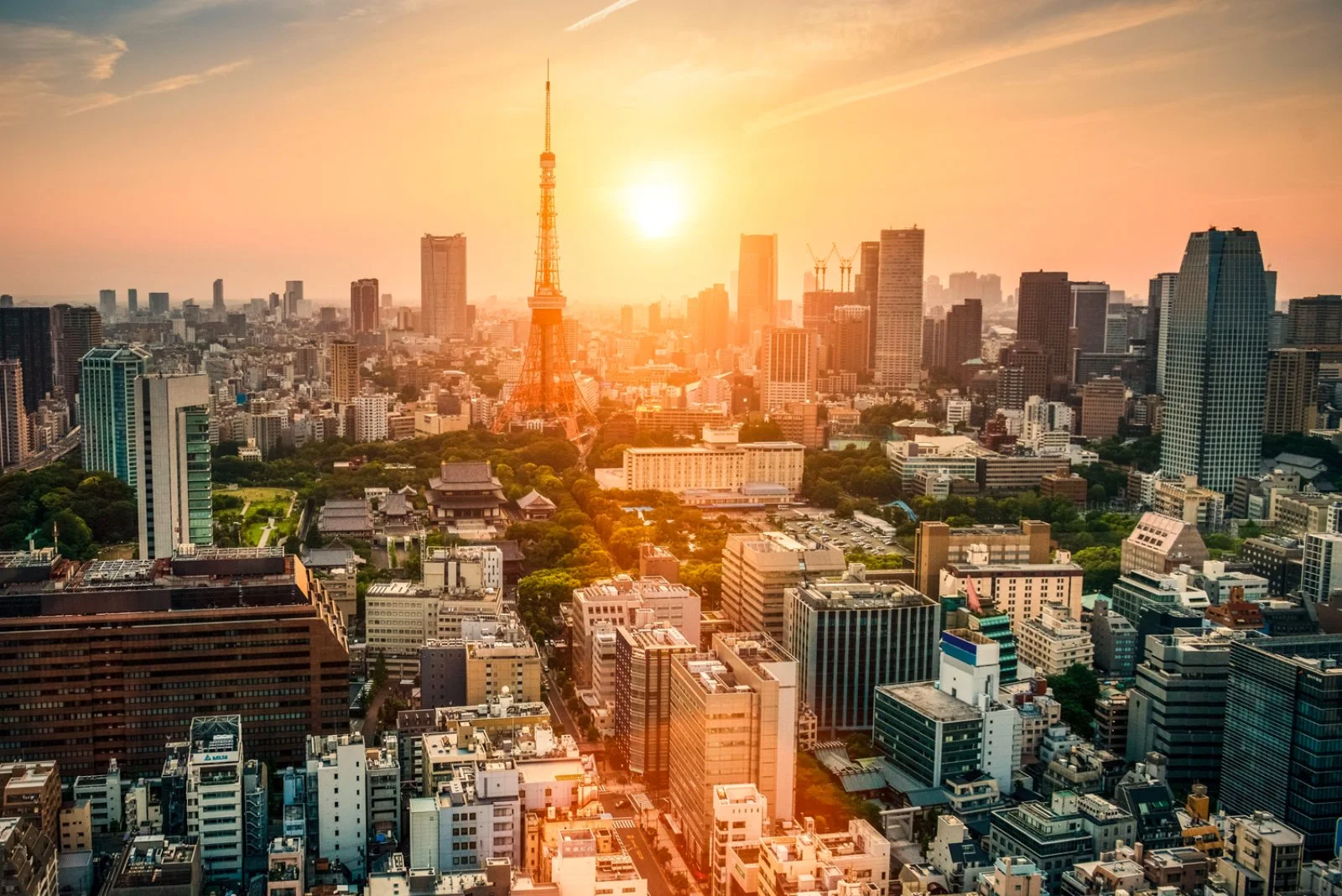 Dal Sol Levante All'Isola Degli Dei - Tokyo, Giappone