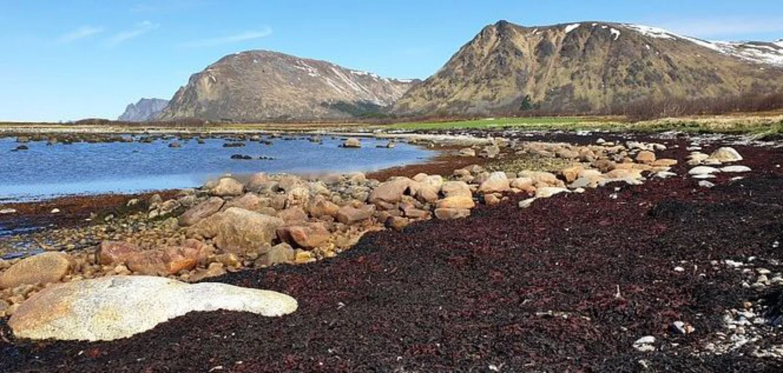 Isole Vesteralen - Andenes
