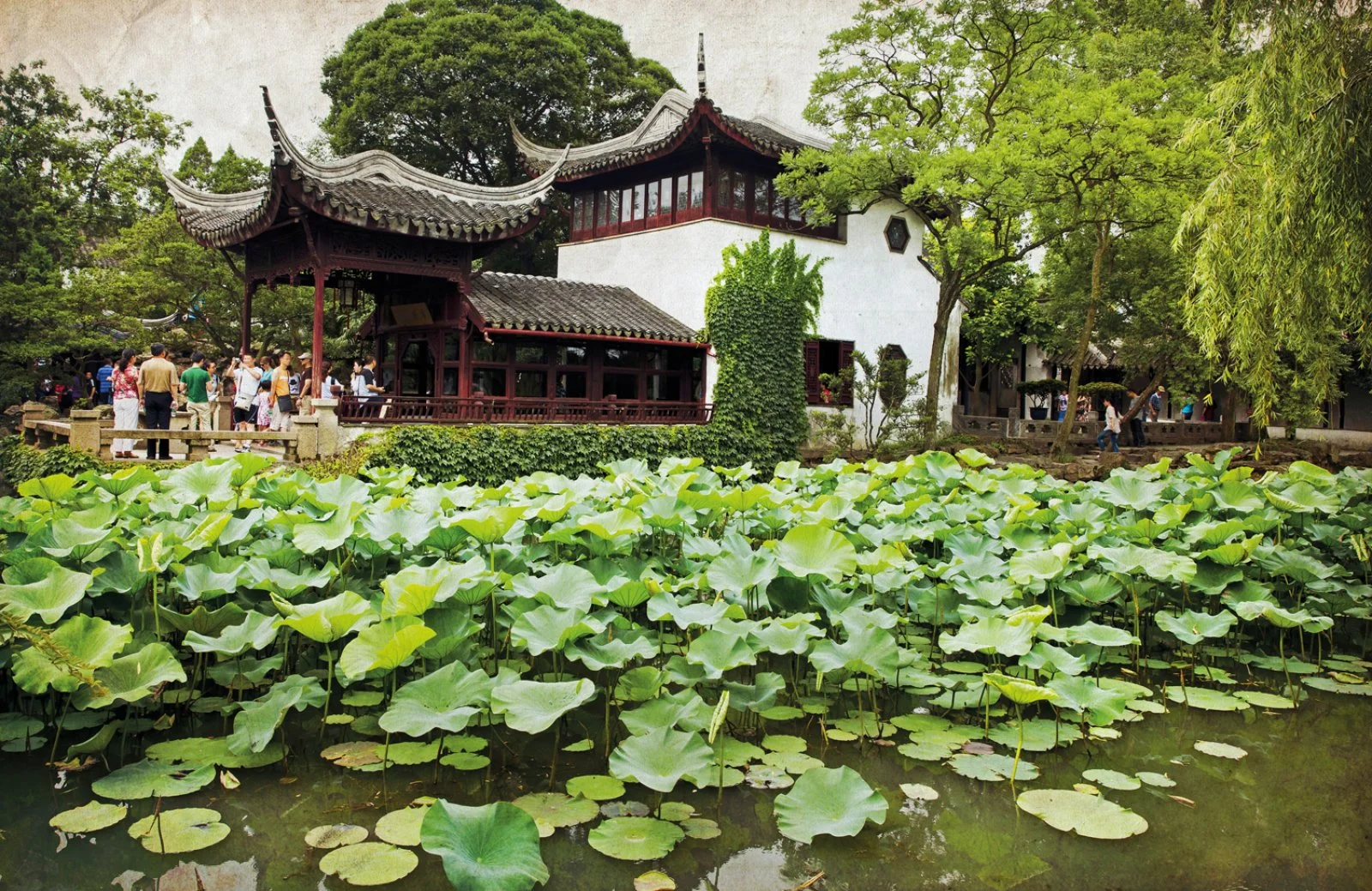 Giardino bonsai di Suzhou