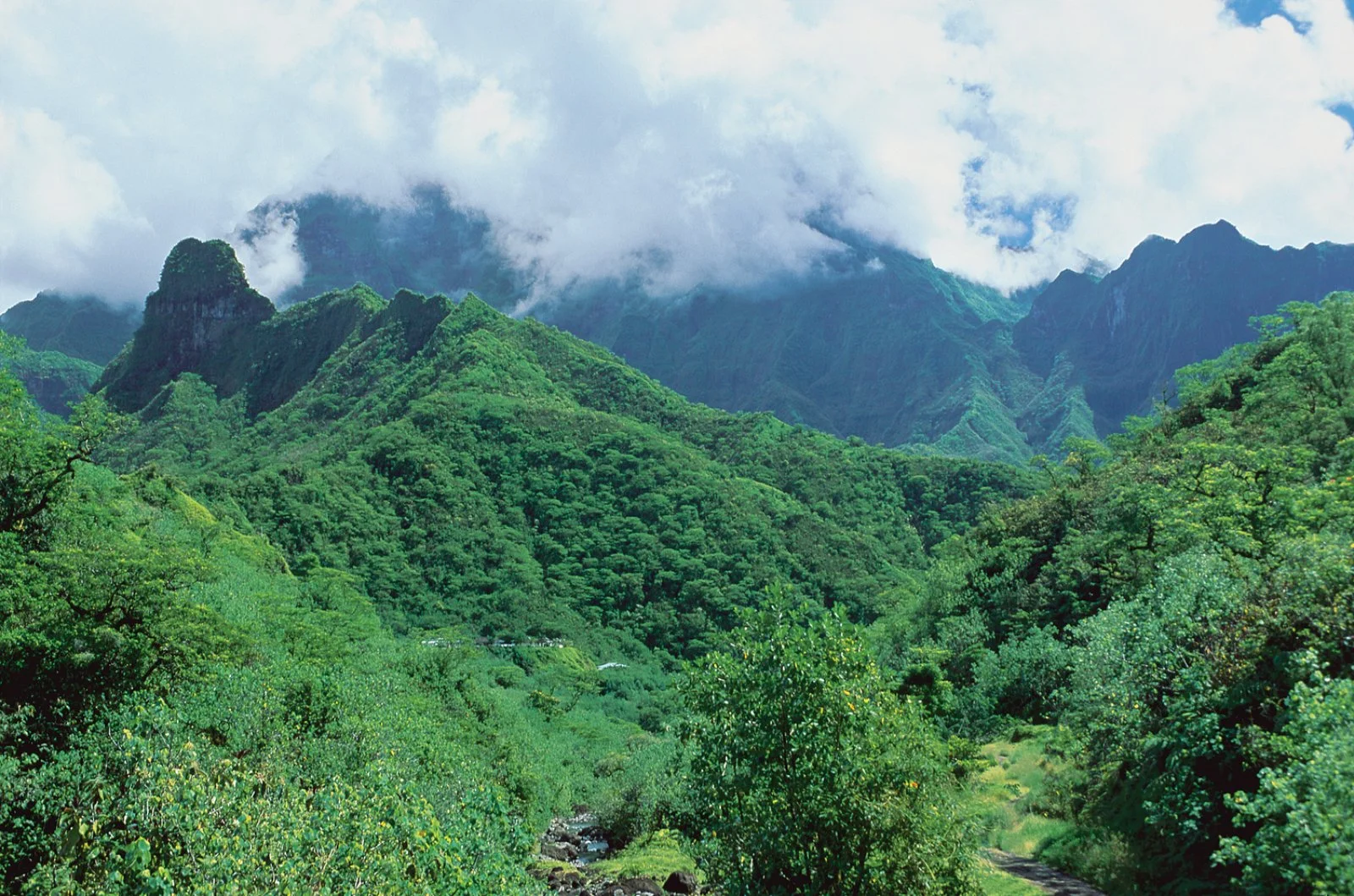 Tahitian Adventure - Tahiti, Valle Di Papenoo