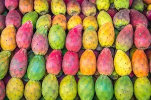 ALPIEXPLO' GRAN TOUR DELLA SICILIA – Catania