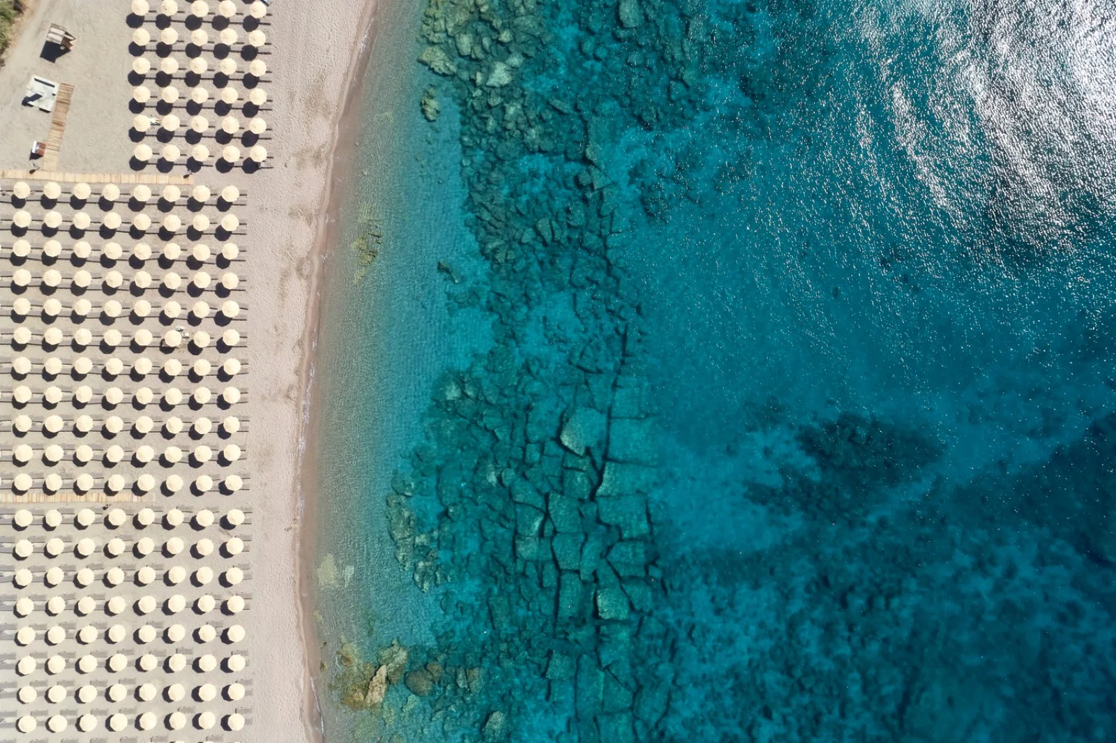 Bravo Smart Princess Sun 