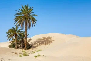 INTOUR OASI IN 4X4 – Medenina