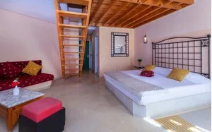duplex standard