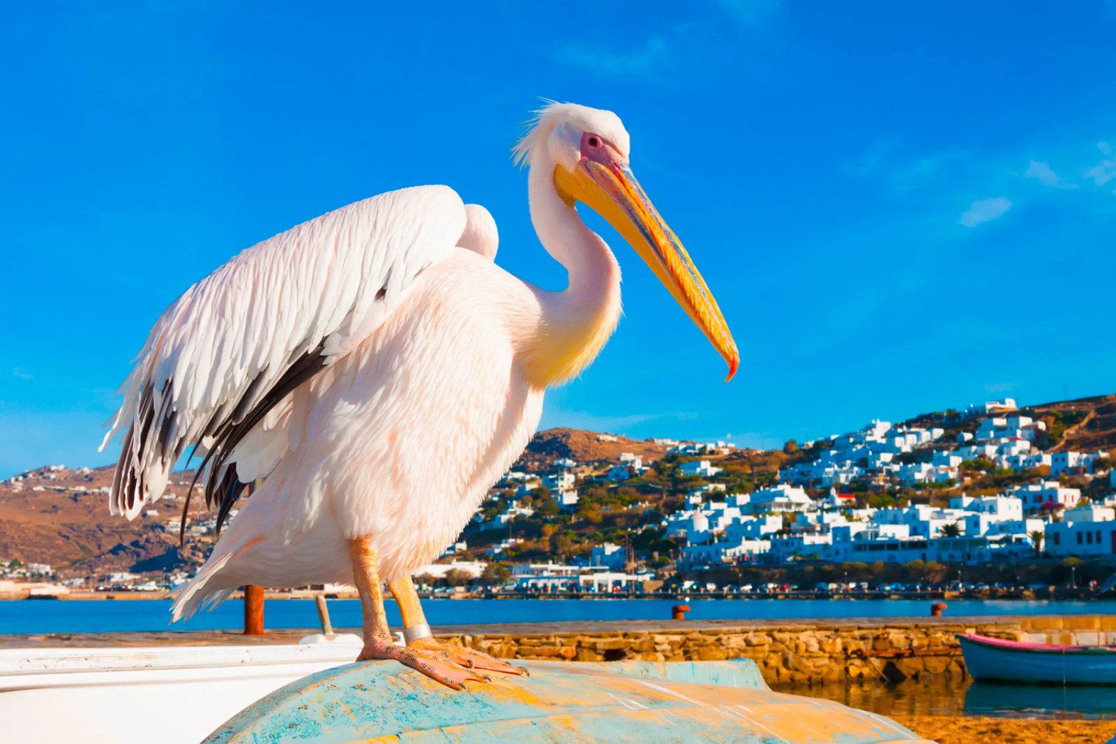 Island Hopping 7 Giorni 