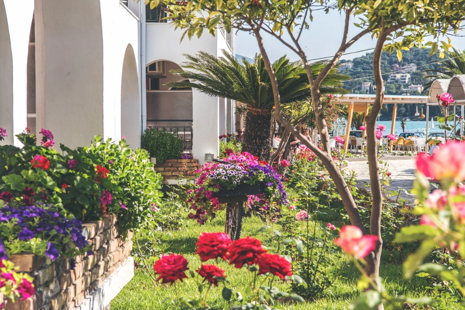 Appartamenti Omirikon 