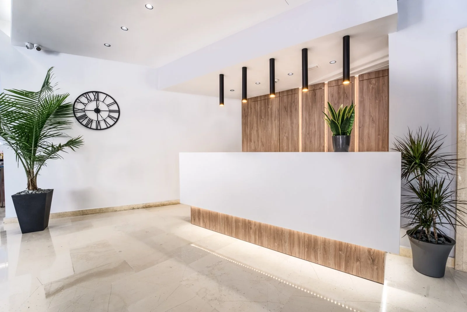 Island City Boutique Hotel 