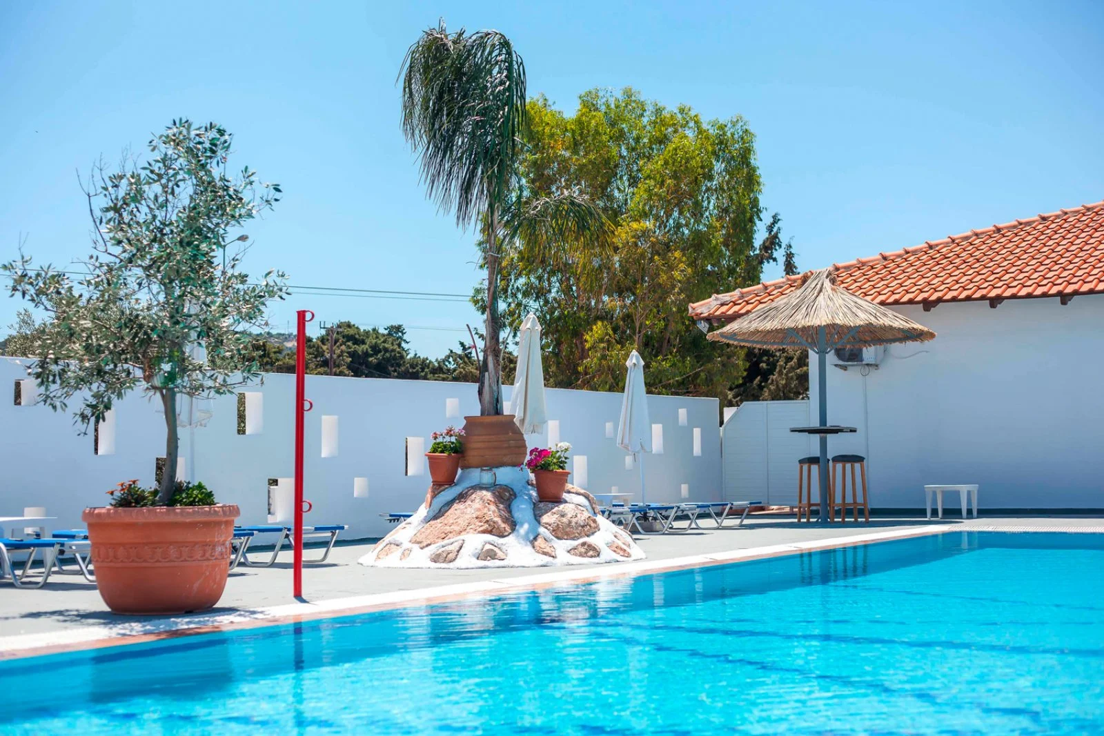 Tinas Plus Tinas Plus