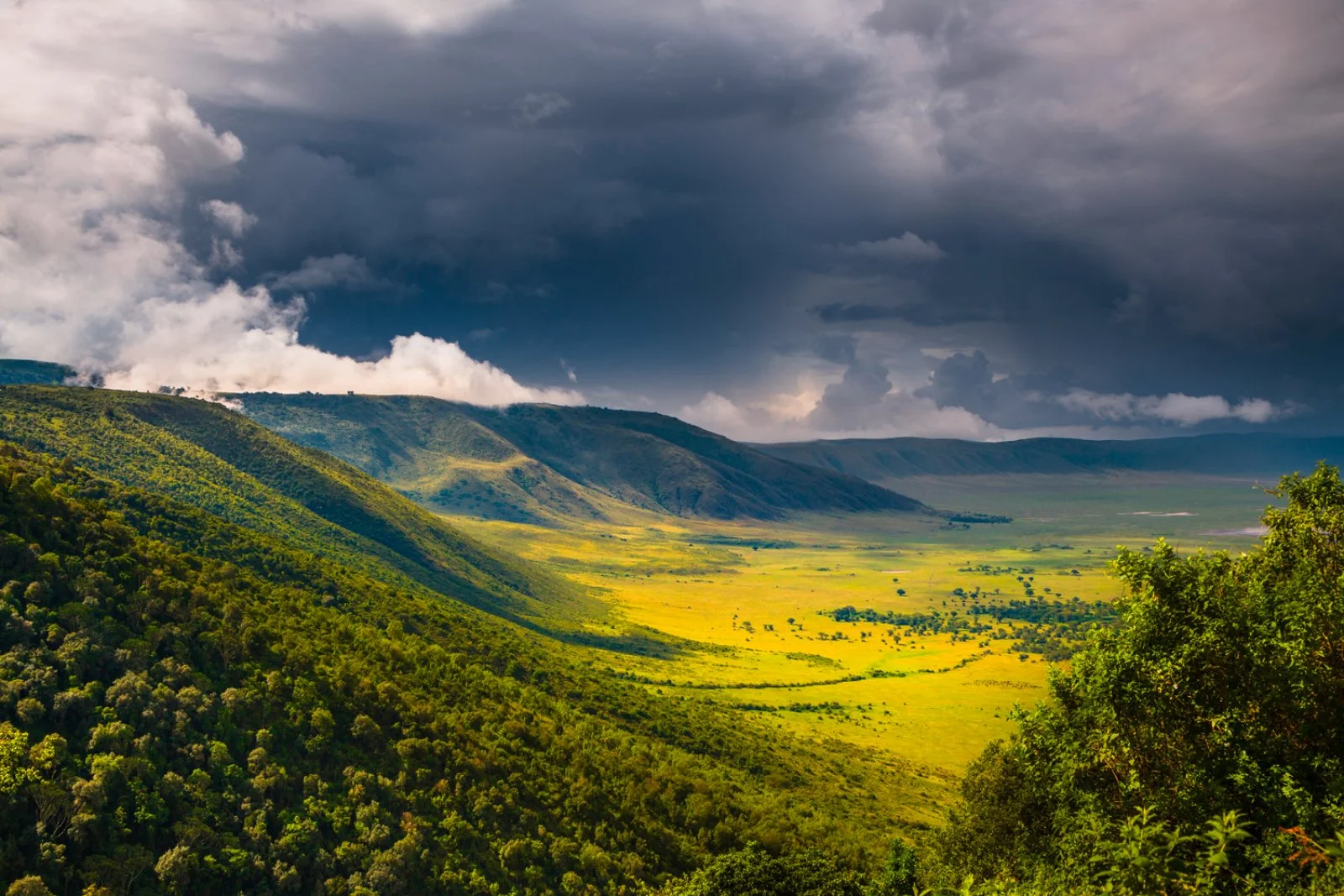 Safari Br Tanzania Emotion Kilimanjaro Edition 