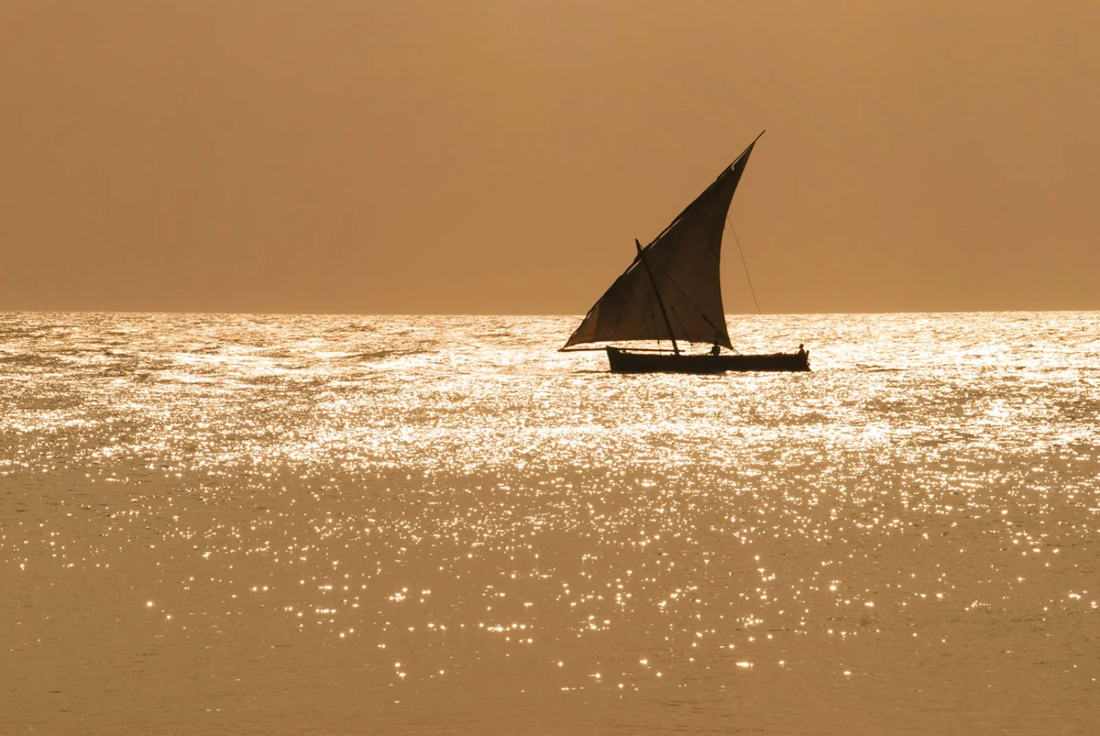 Tour Parchi Della Tanzania Kilimanj 