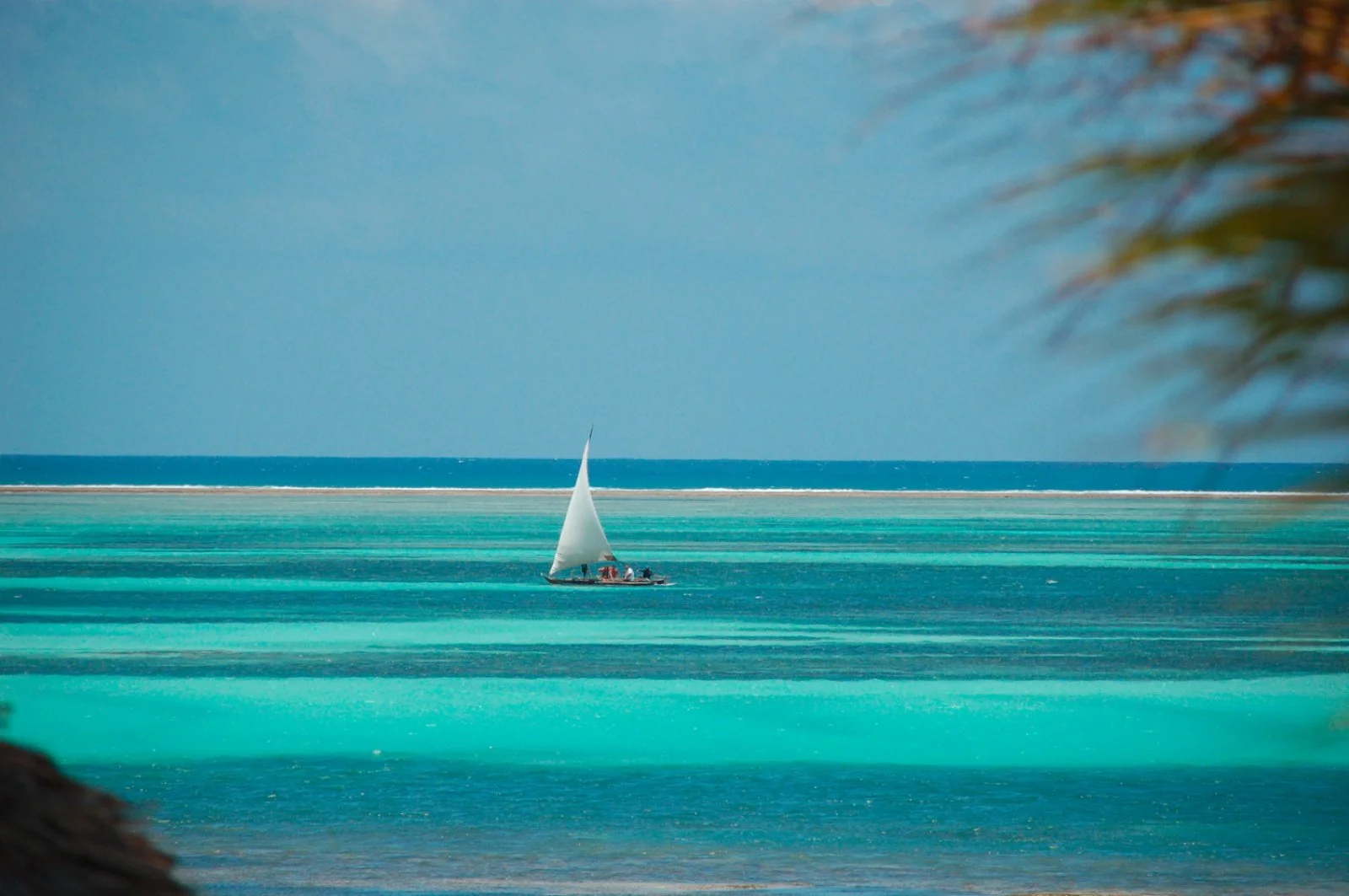 Tour Tanzania E Mare Kilimanjaro Ed 