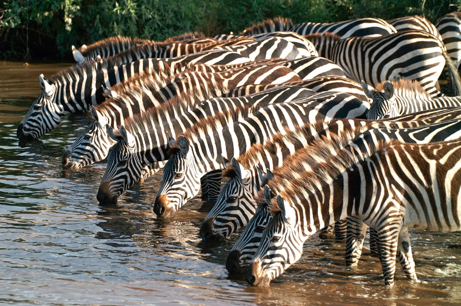 Tour Tanzania Horizons Kilimanjaro 