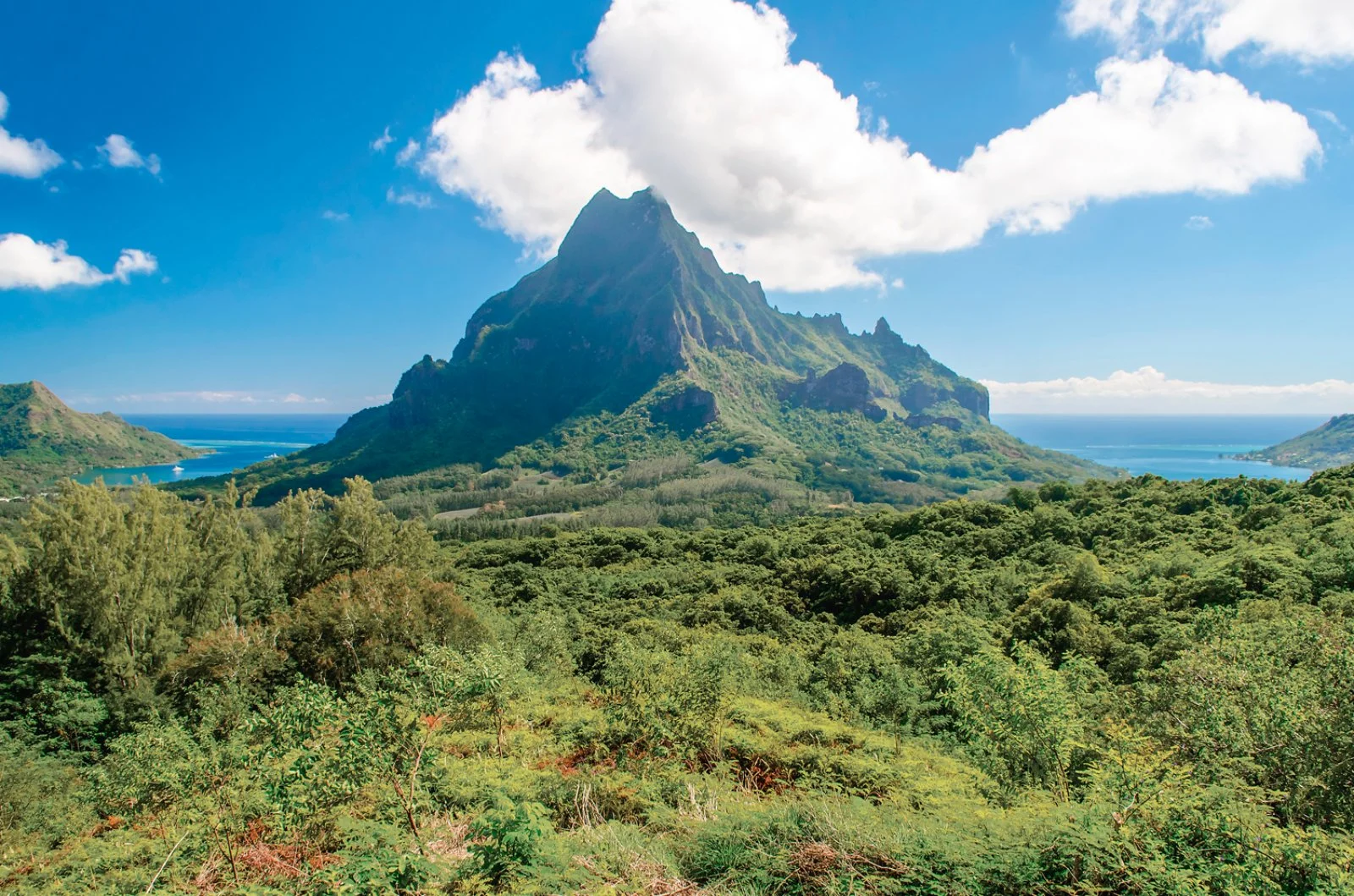 Voyager Polinesia E Bora Bora Con United Airlines 