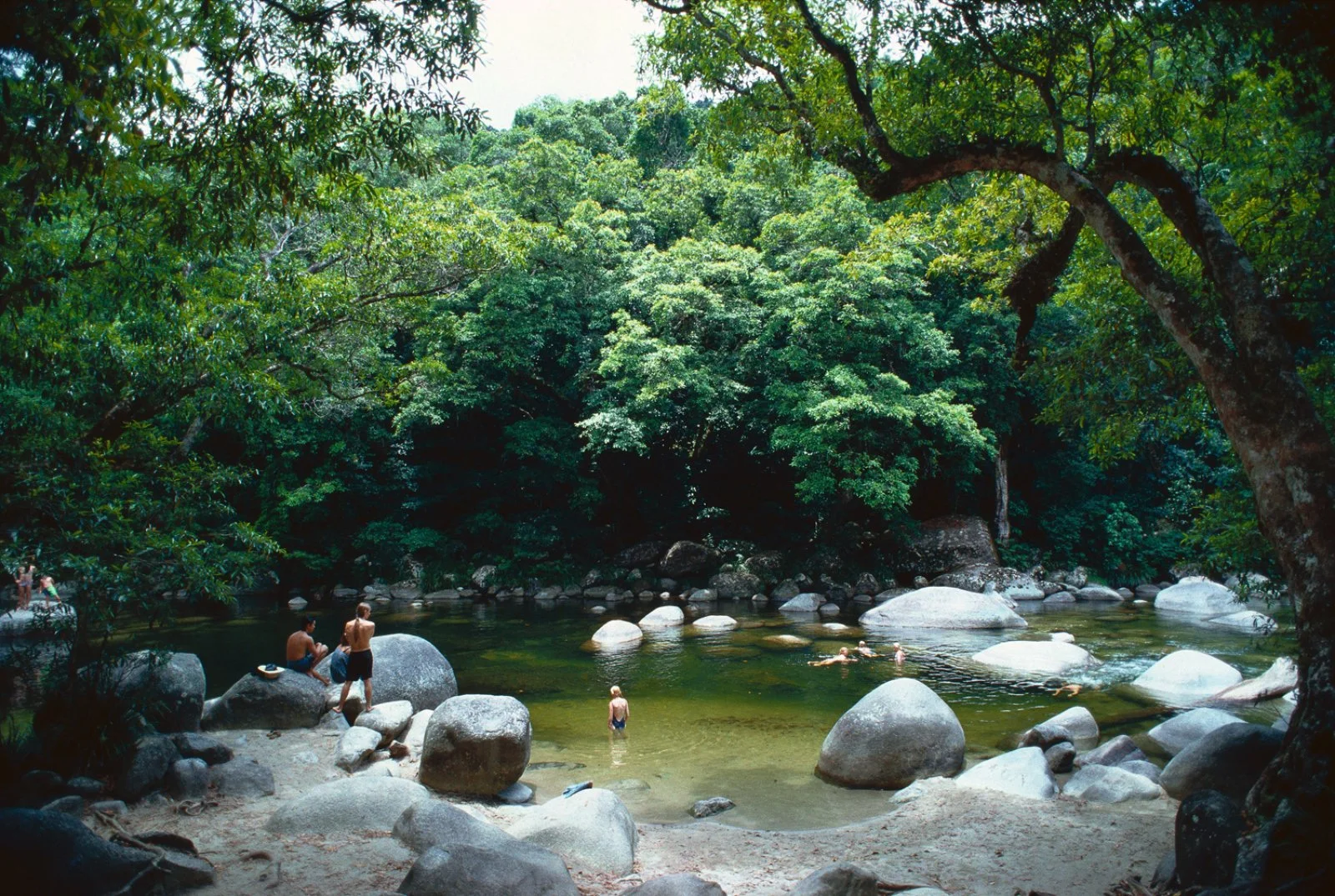 Foresta pluviale e camminata nel fiume