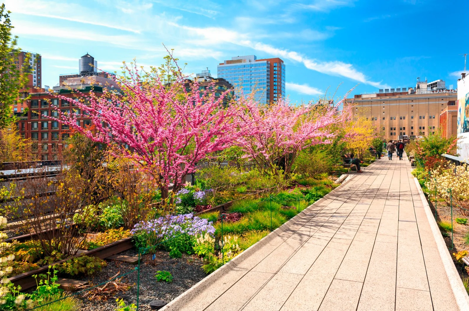 Voyager Family New York 