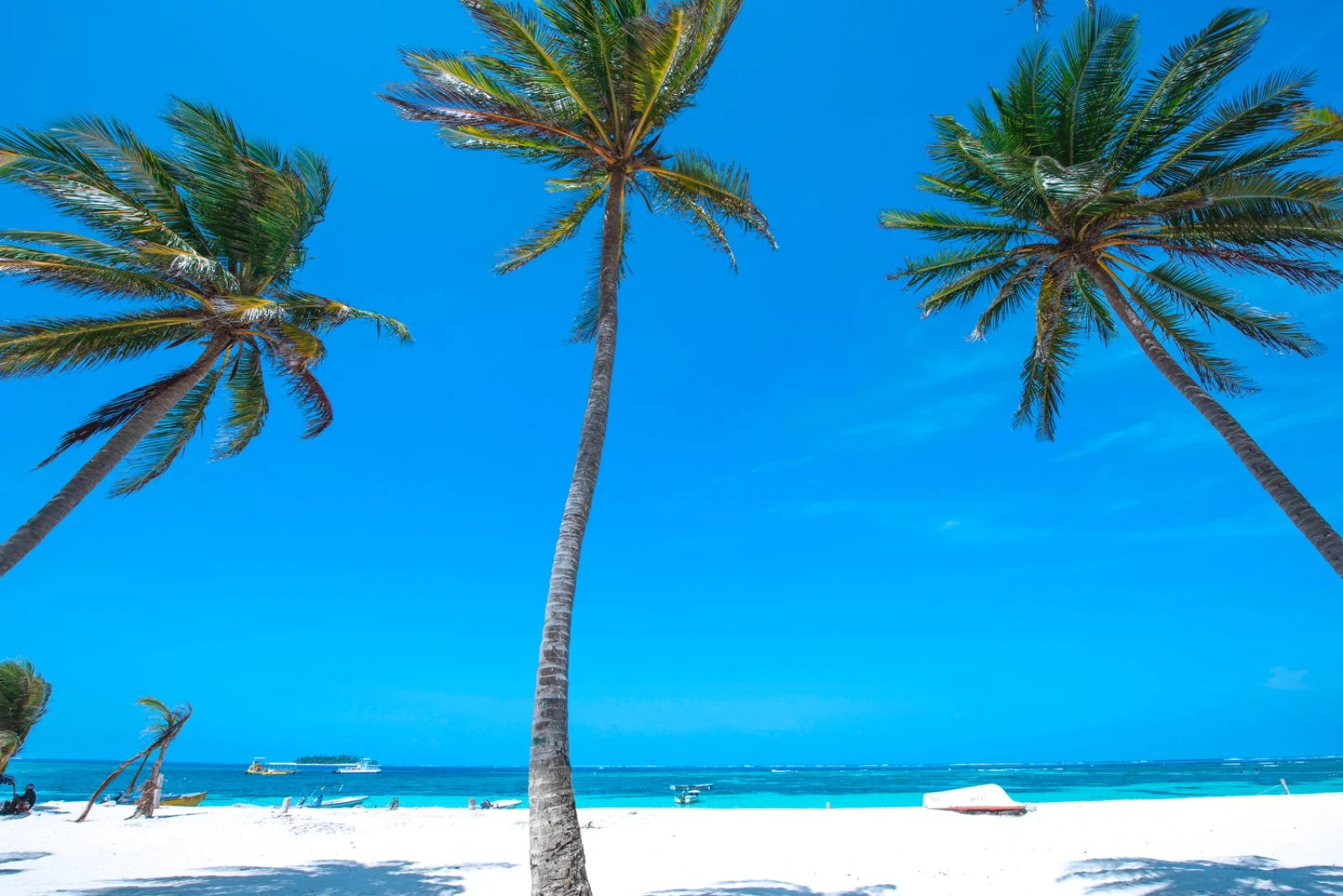 Cozumel/Playa del Carmen