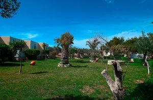 ALPISELECT ASTERAS PARADISE – Paros