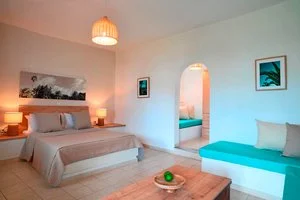 ALPISELECT ASTERAS PARADISE – Paros