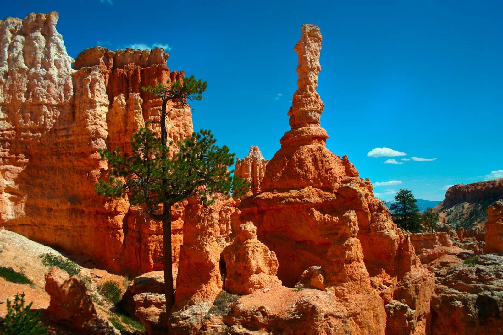Page - Bryce Canyon