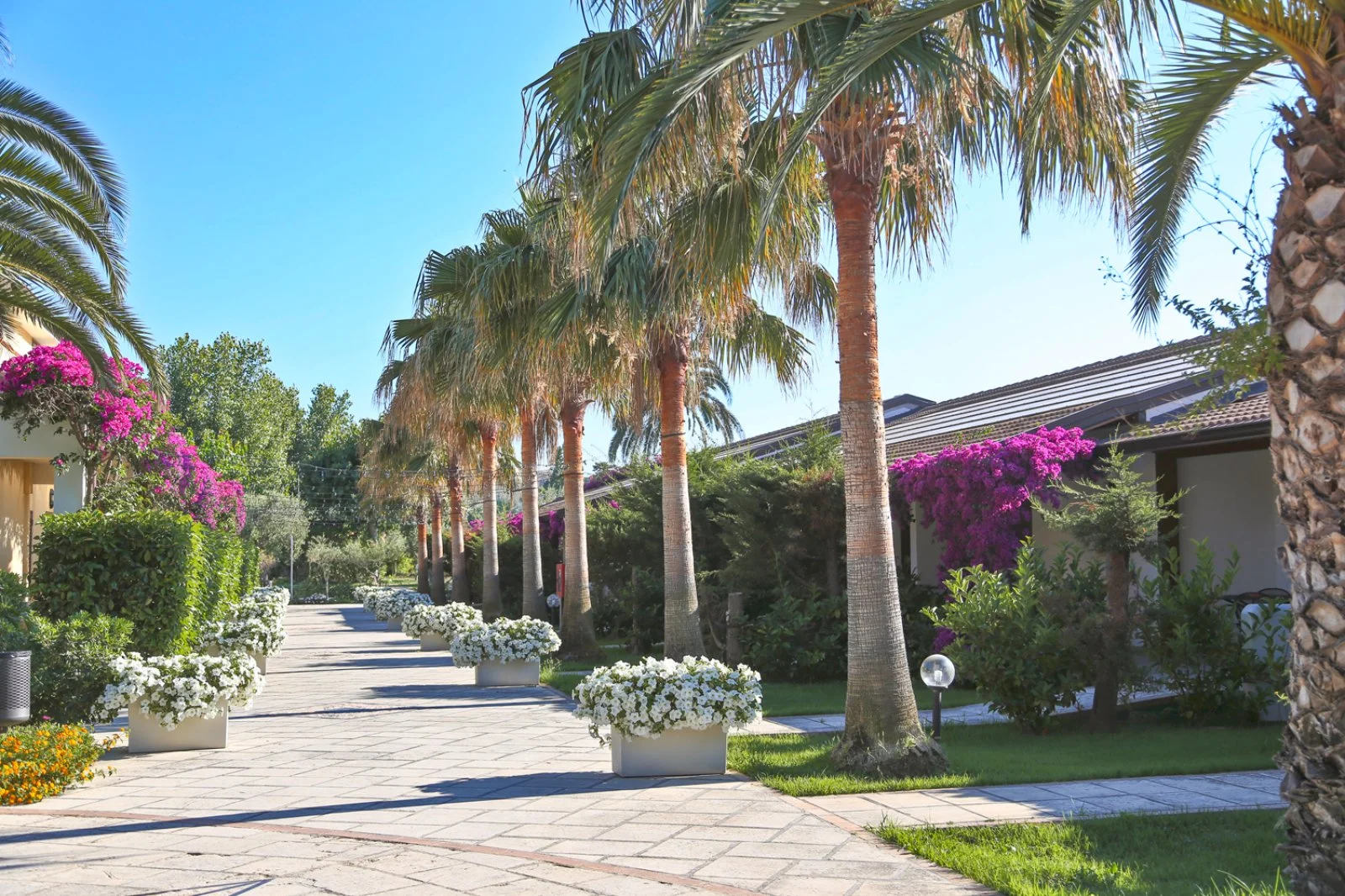 Vascellero Club Resort 