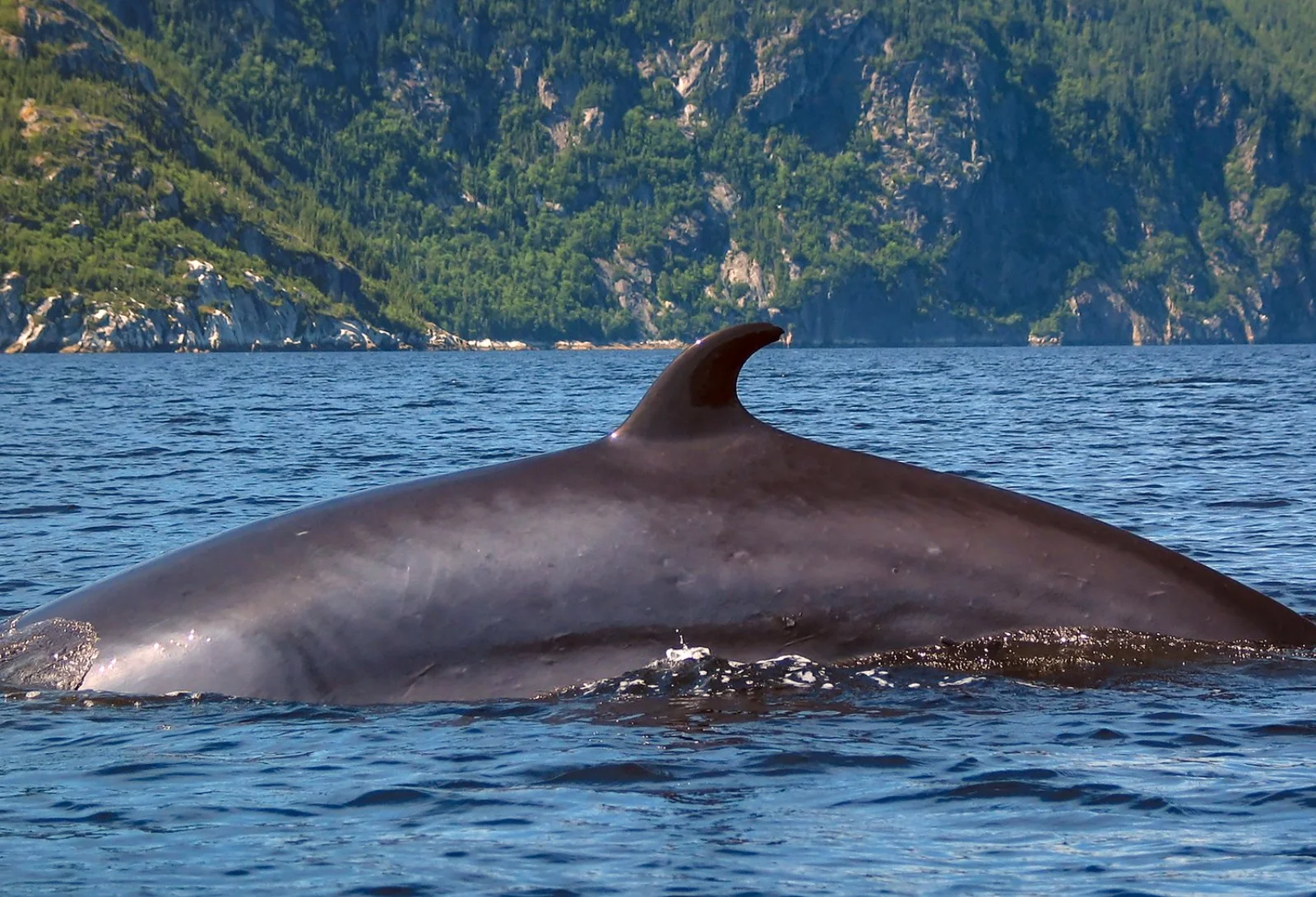 Dove il mare incontra il cuore