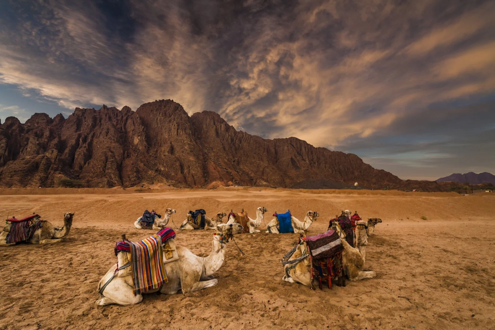 Sharm El Sheikh - Italia