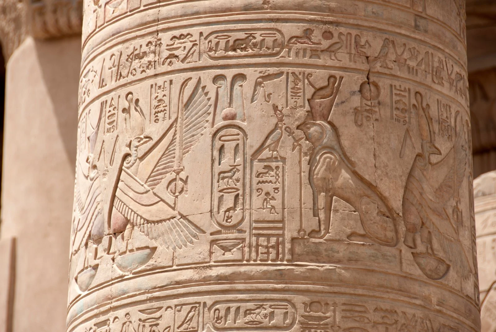 Edfu - Kom Ombo - Aswan