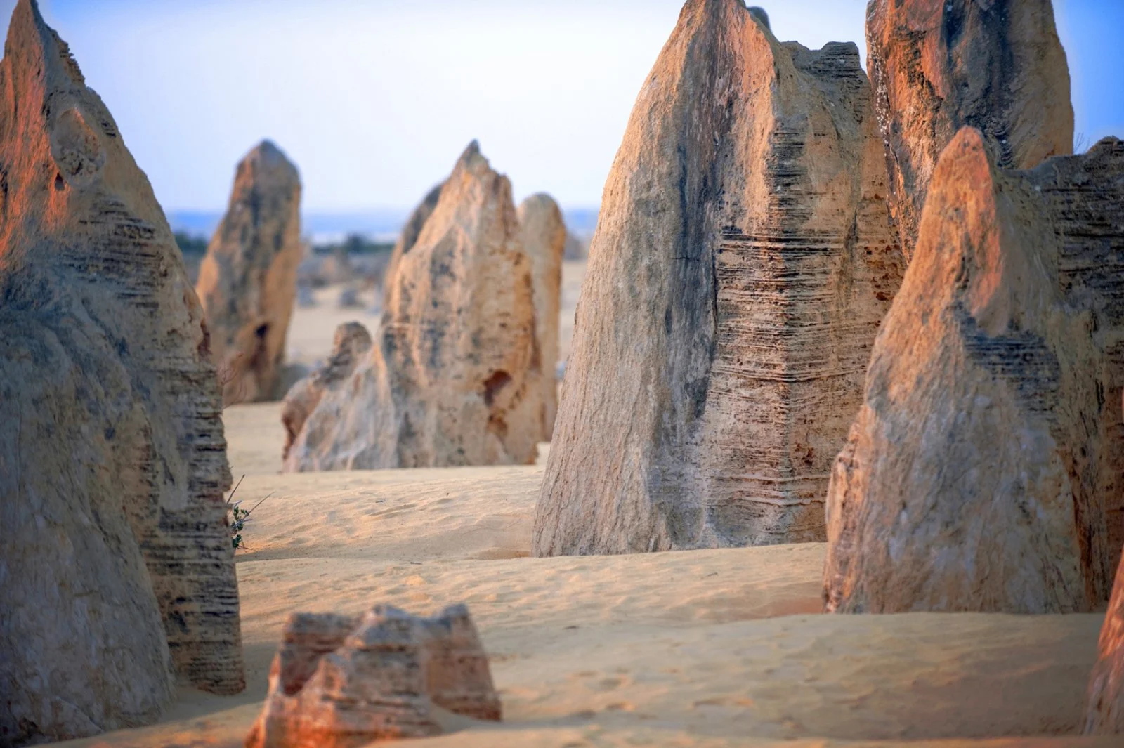 Deserto dei Pinnacoli