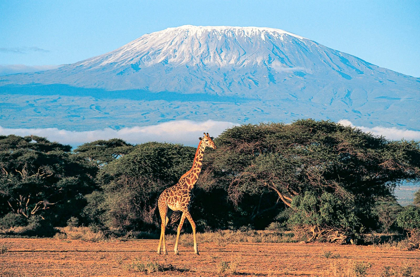 Taita Hills/Amboseli (195 km)