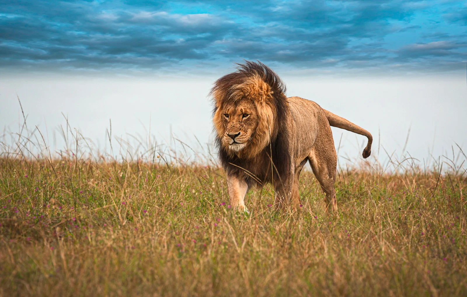 Mombasa/Taita Hills (195 km)