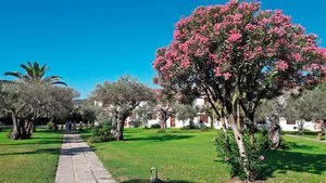 NAUSICAA VILLAGE – Sant'Andrea Apostolo dello Ionio