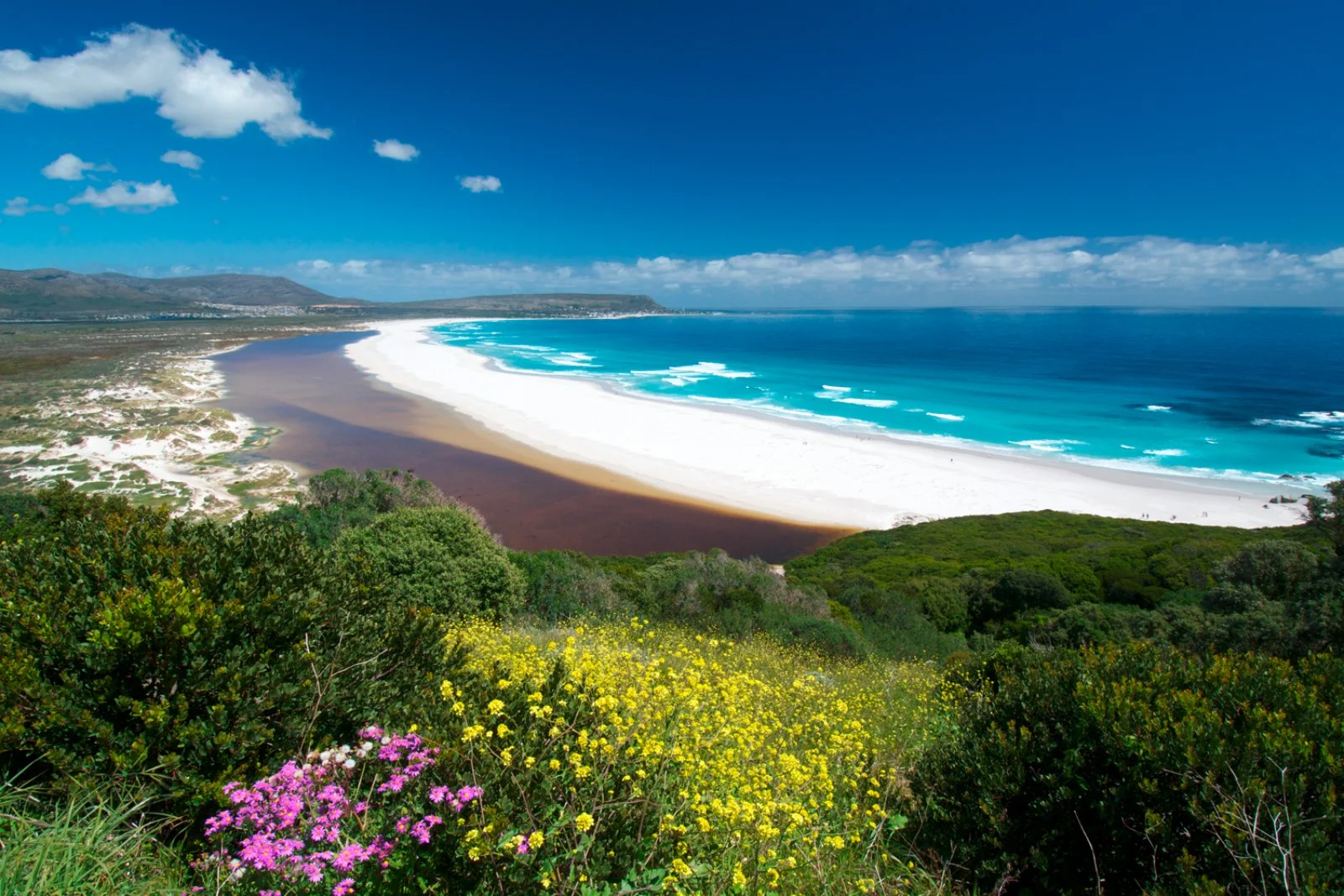 Città del Capo - Penisola del Capo - Città del Capo