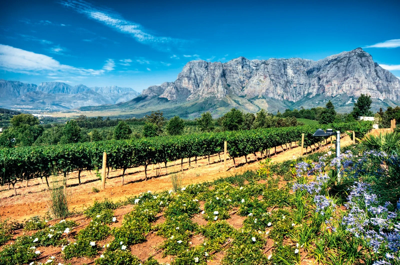 Città del Capo - Winelands