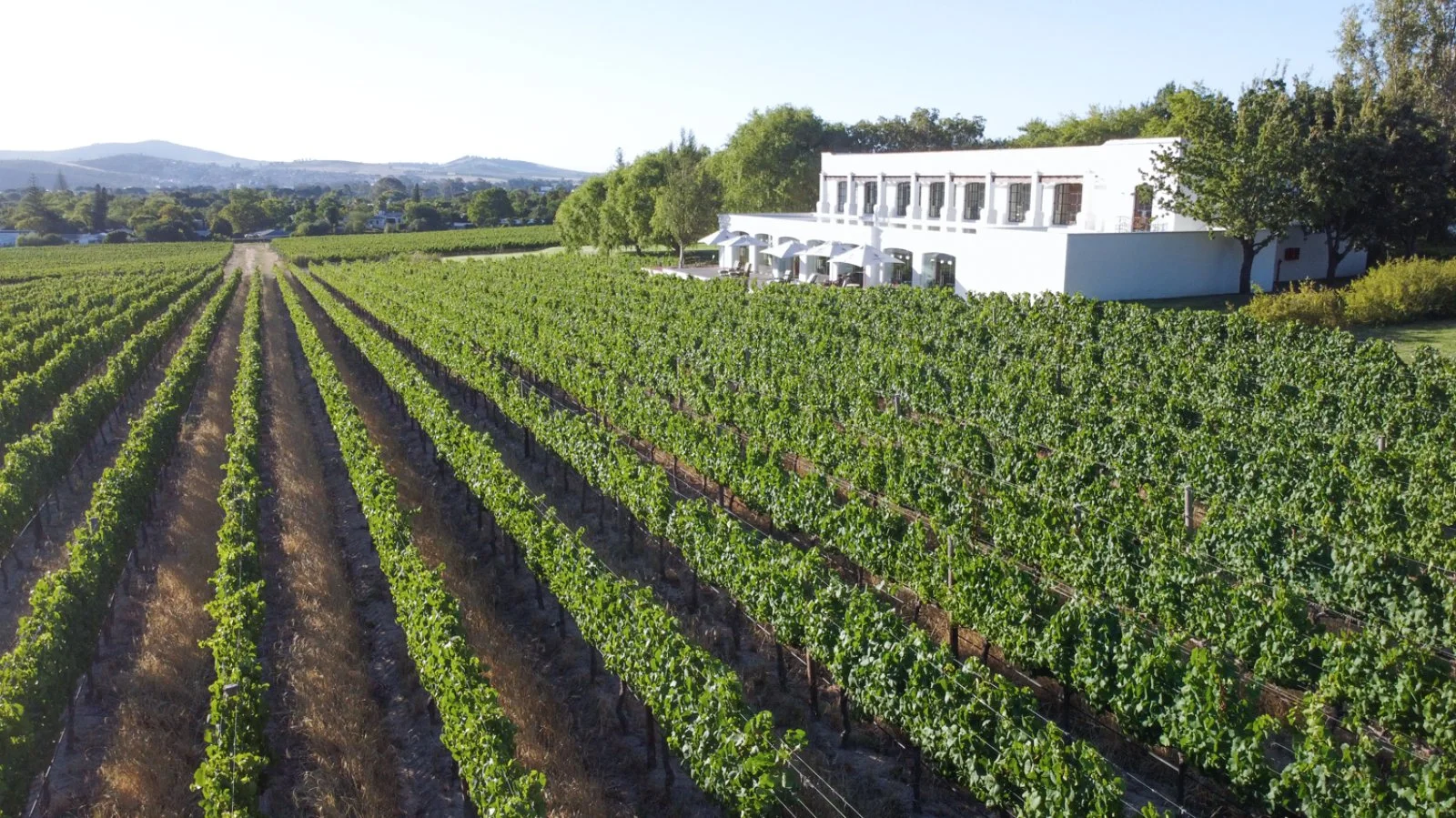 Città del Capo - Winelands