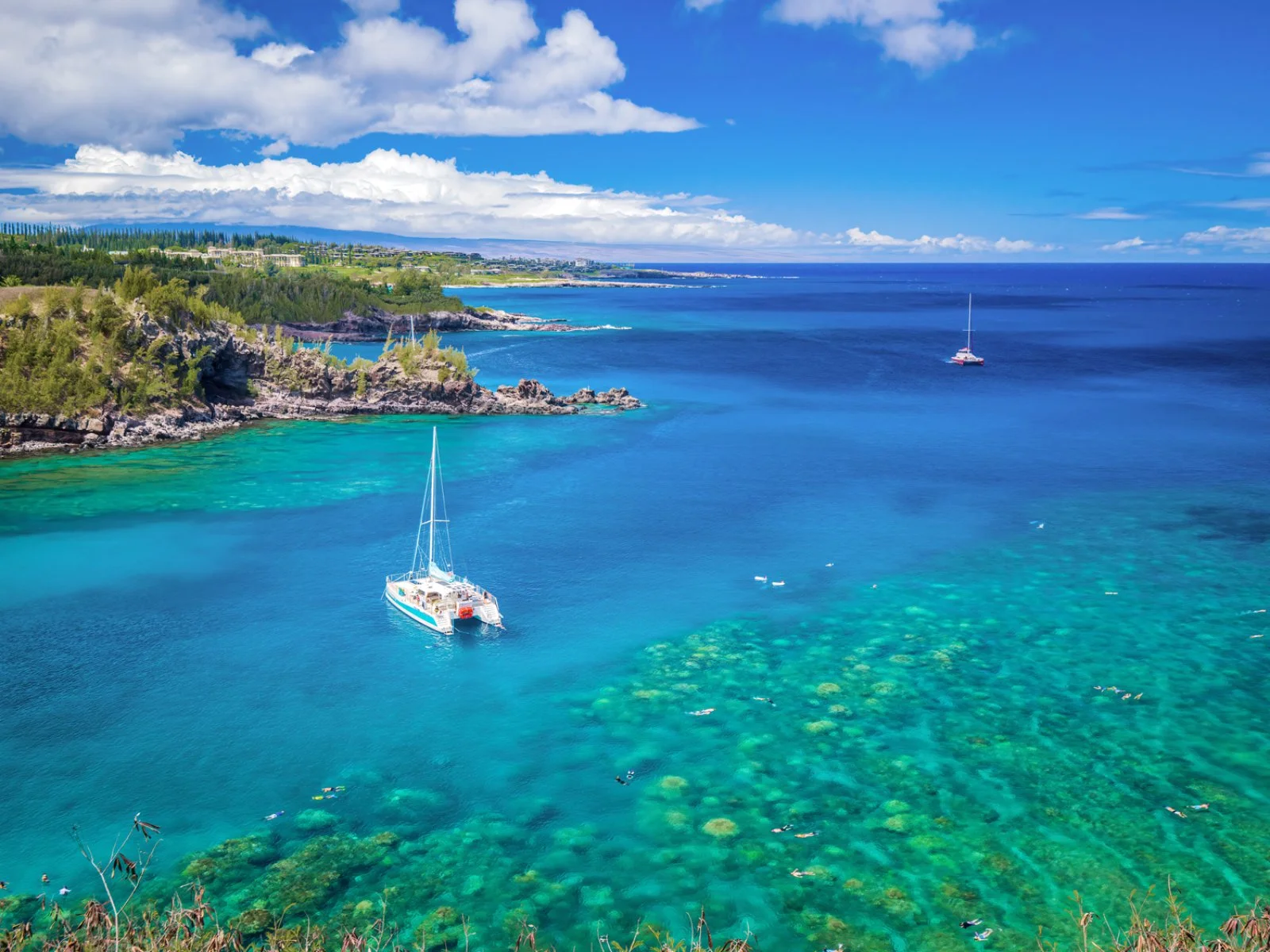 Maui Dream - Honolua Bay Maui Dream - Honolua Bay