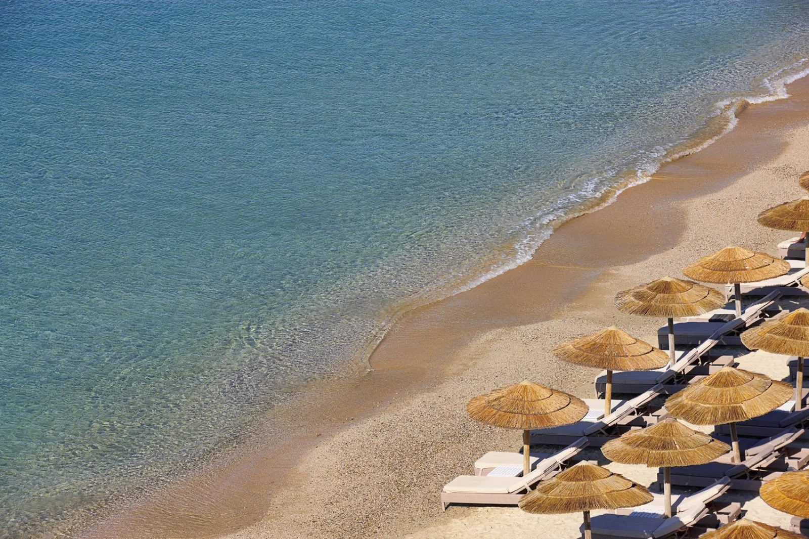 Royal Myconian Royal Myconian