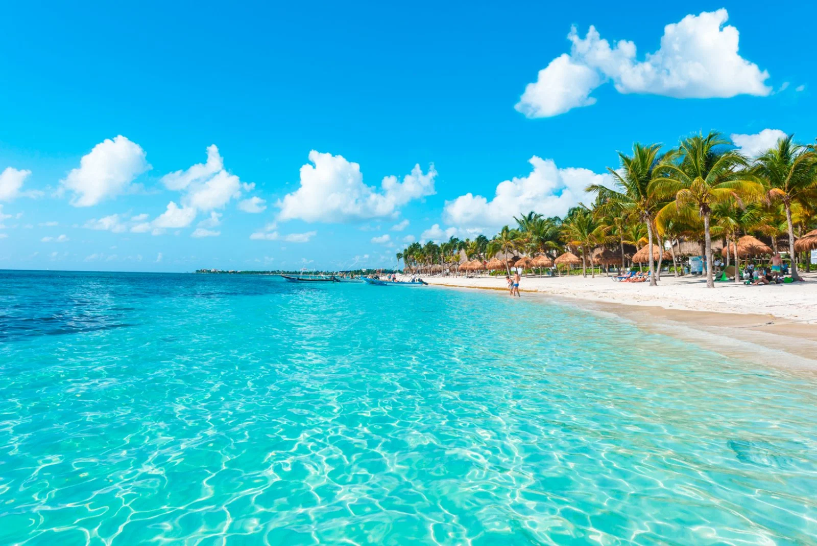 Mérida - Rio Lagartos - Cancun