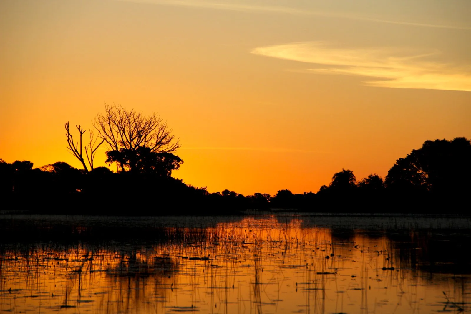 Delta dell'Okavango