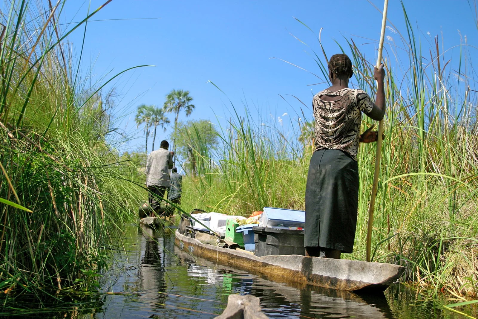 Voyager Okavango - Okavango Delta