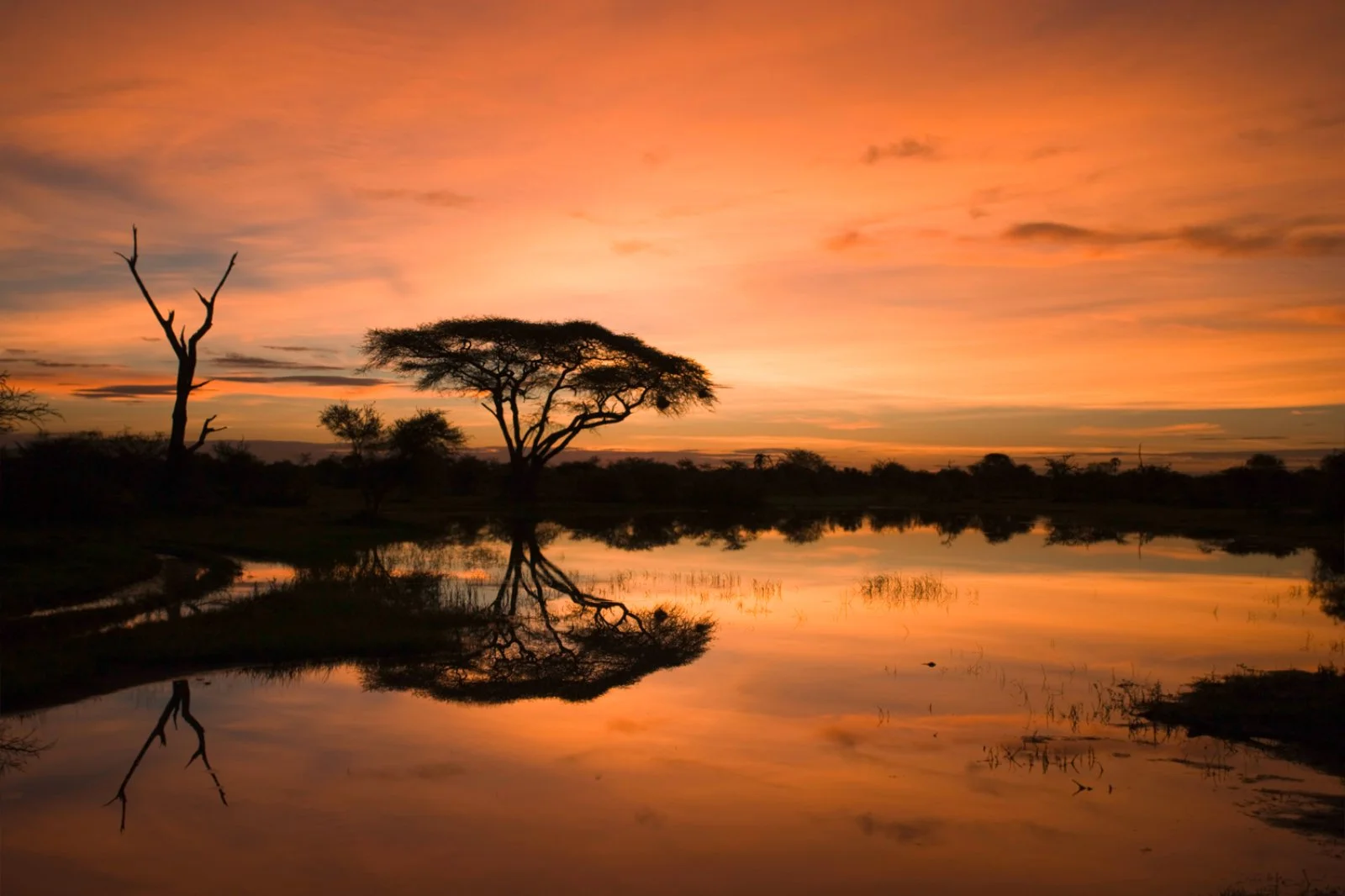 Delta dell'Okavango – Khwai, Riserva Moremi