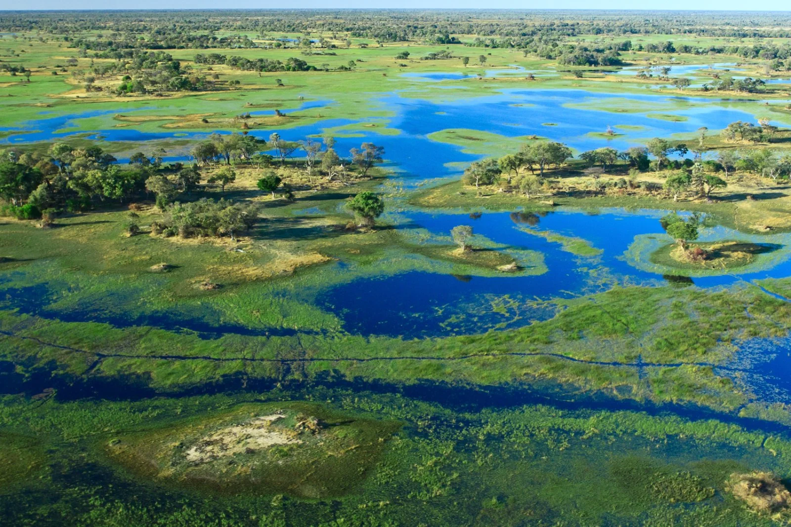 Parco Chobe - Delta dell'Okavango