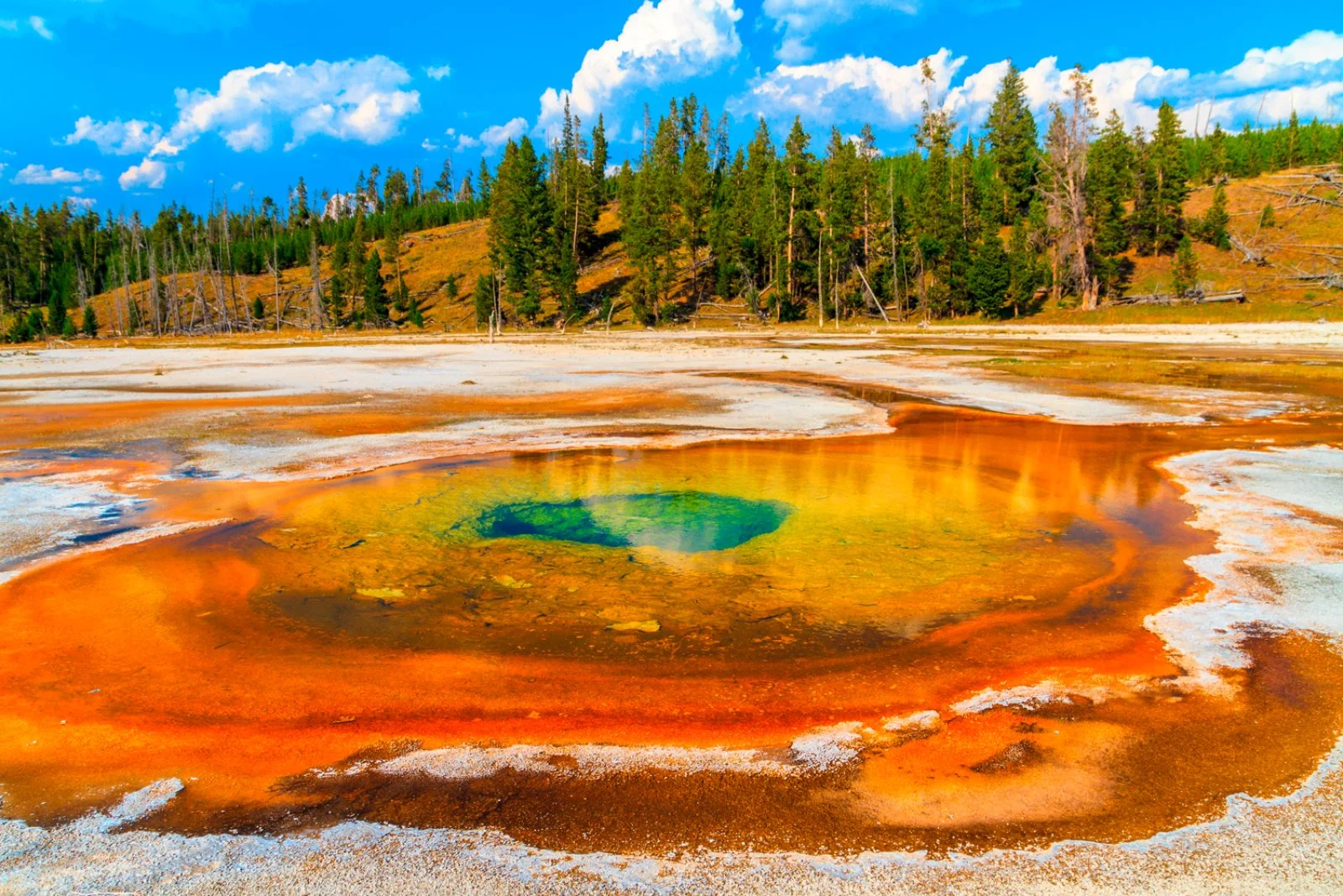 Yellowstone National Park