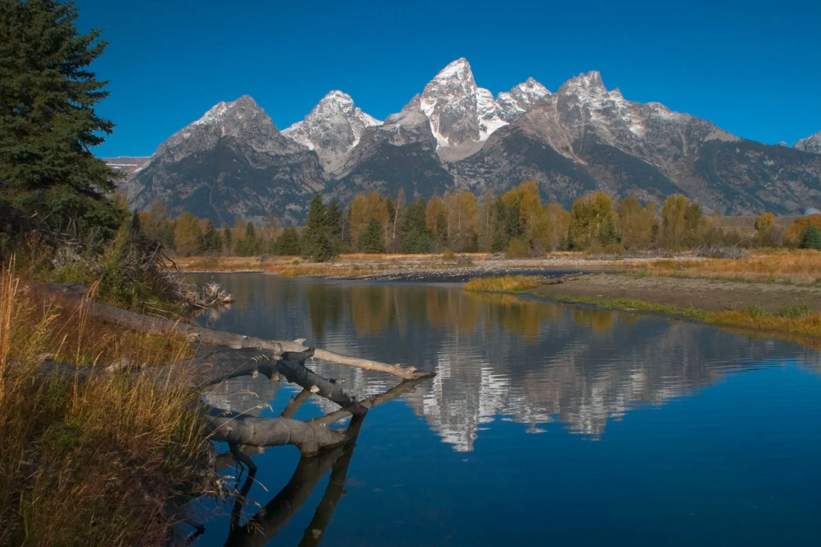 Yellowstone - Jackson Hole