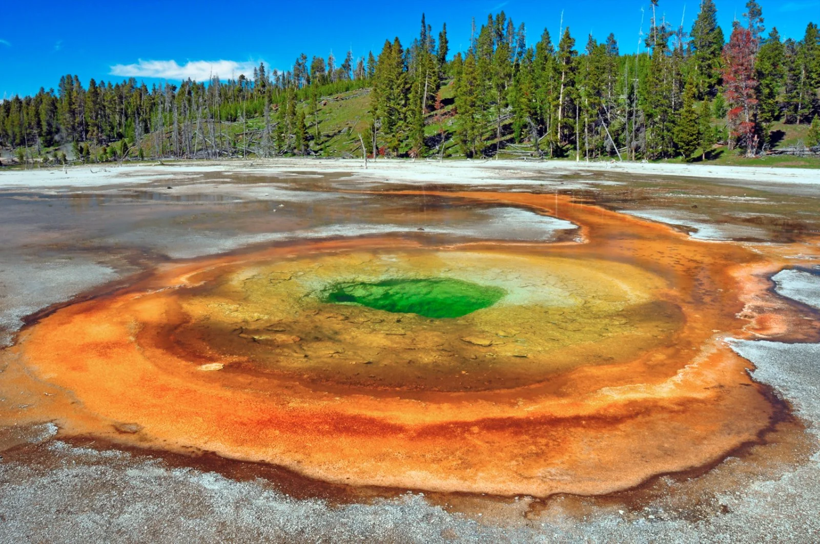 Montagne Rocciose - Yellowstone National Park