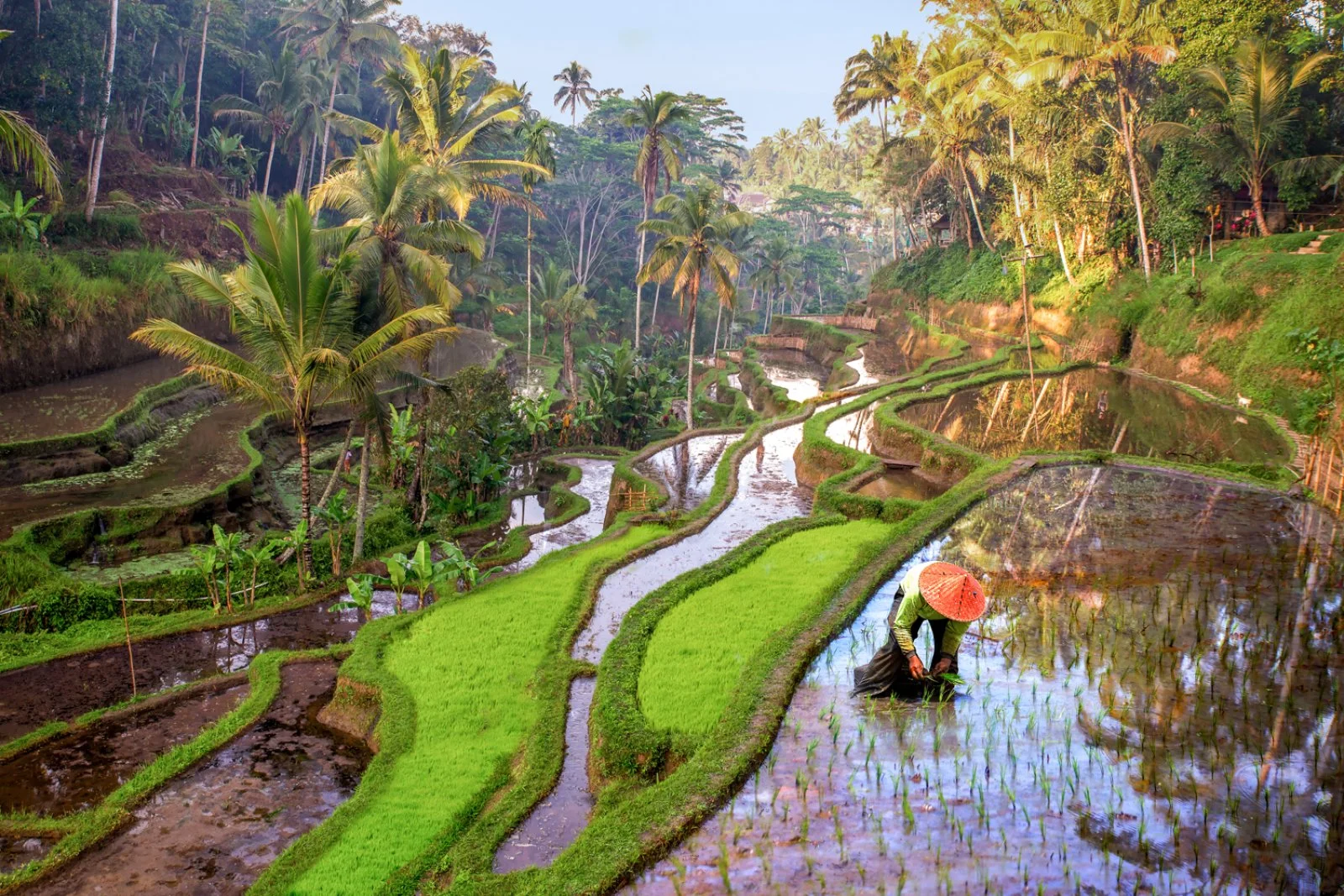 Made In Indonesia Made In Indonesia