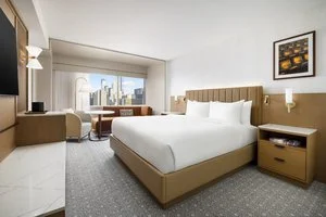 HYATT REGENCY TIMES SQUARE – New York