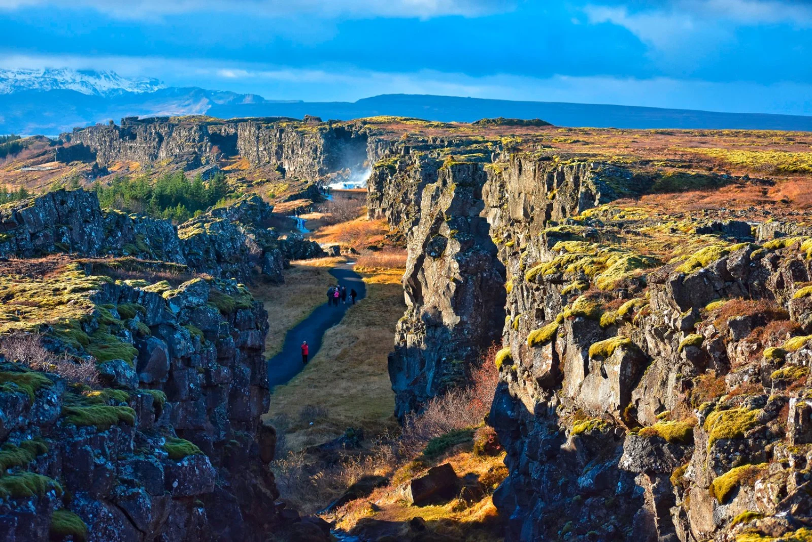 Area Sud - Reynisfjara - Skaftafell - Area Hofn
