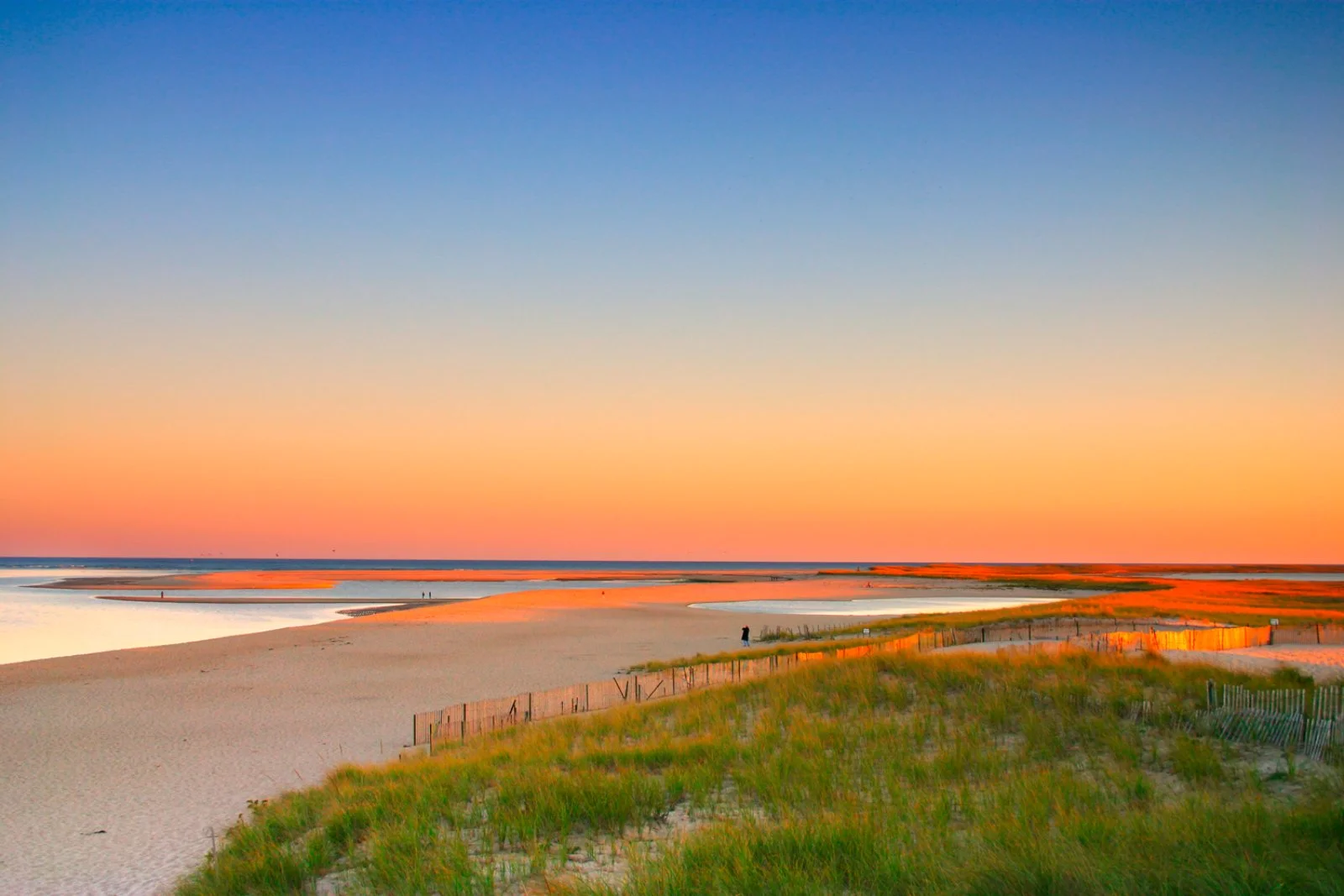 Boston - Cape Cod - Boston - immagine 2 di 3