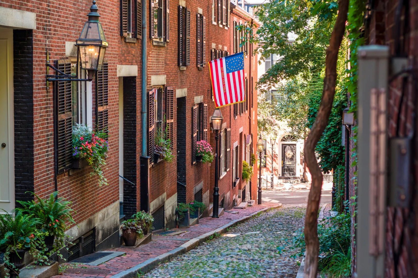 Boston - immagine 3 di 4