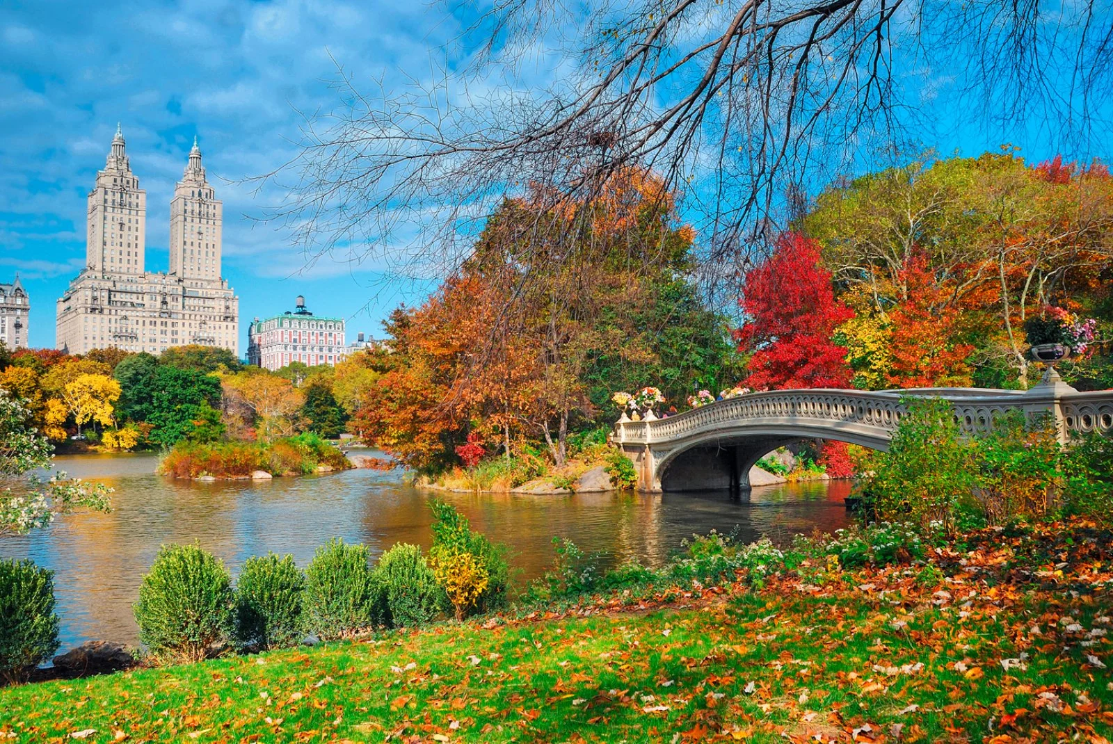 Boston - New York - immagine 2 di 2